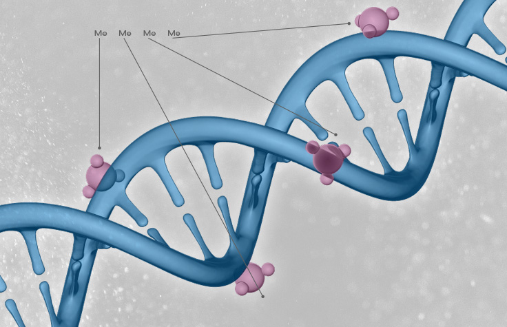 cancer epigenetics illustration