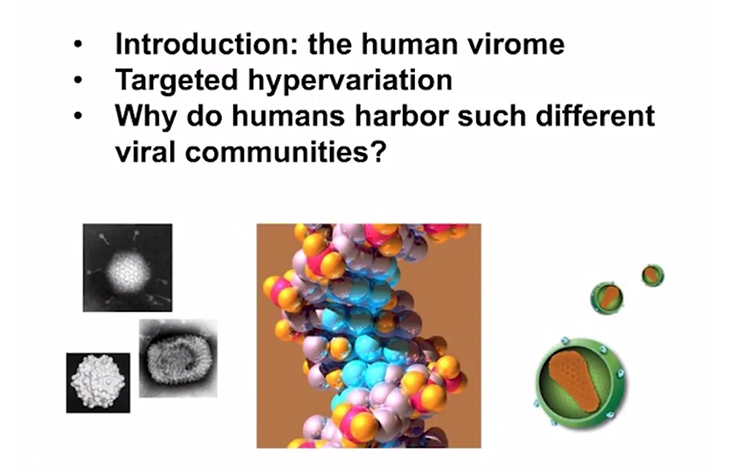 Composition and Dynamics of the Human Gut Virome<