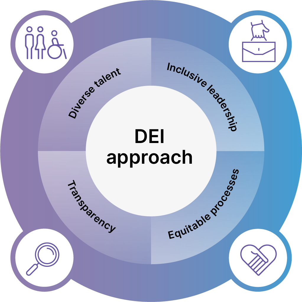 DEI Approach diagram