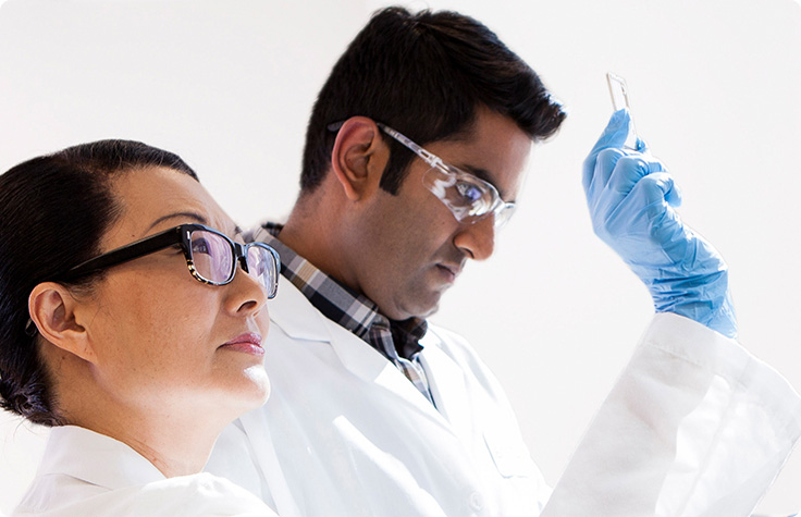 Scientists working in the lab