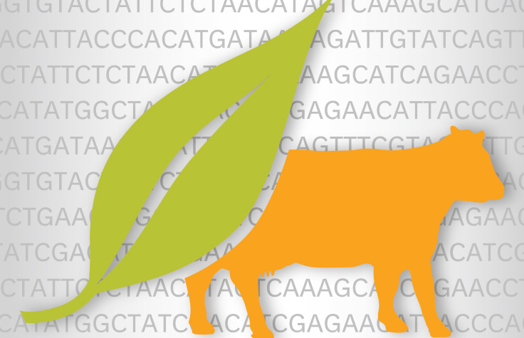 动植物基因分型