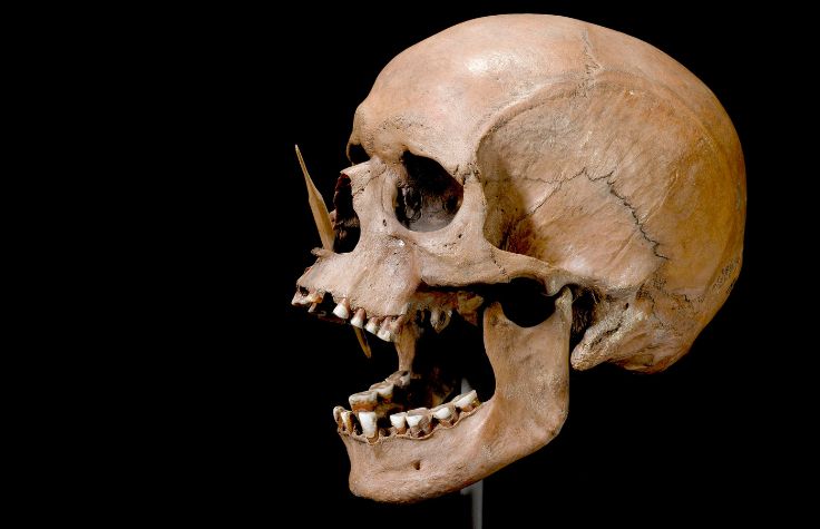 What 5000 ancient human genomes can reveal about European health and heritage