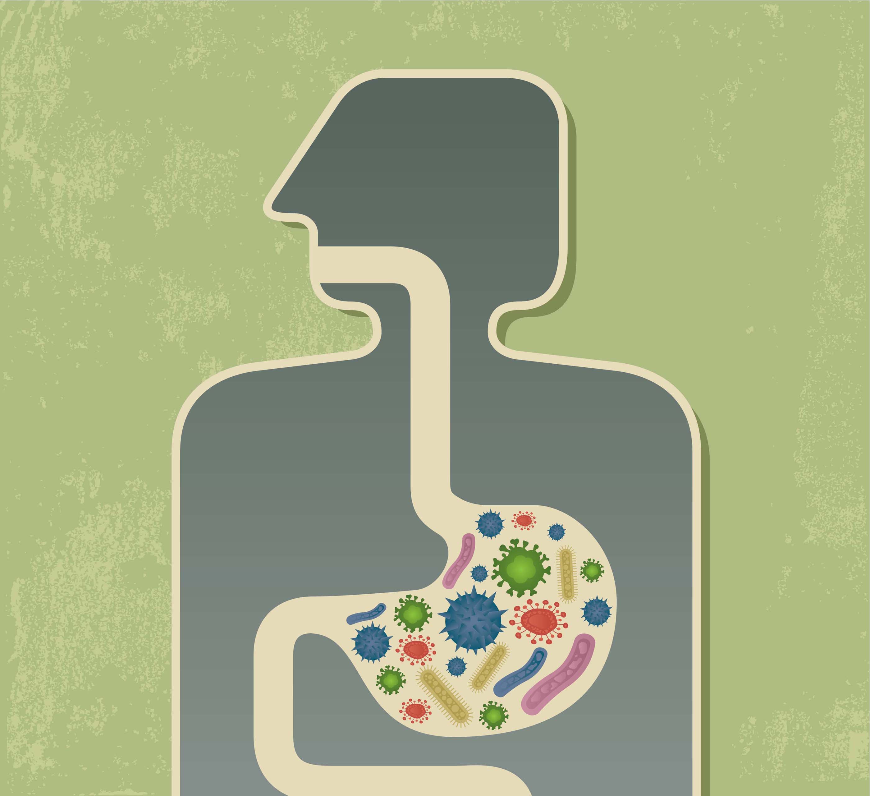 DNA Sequencing Used to Study Changes in Gut Microbiome