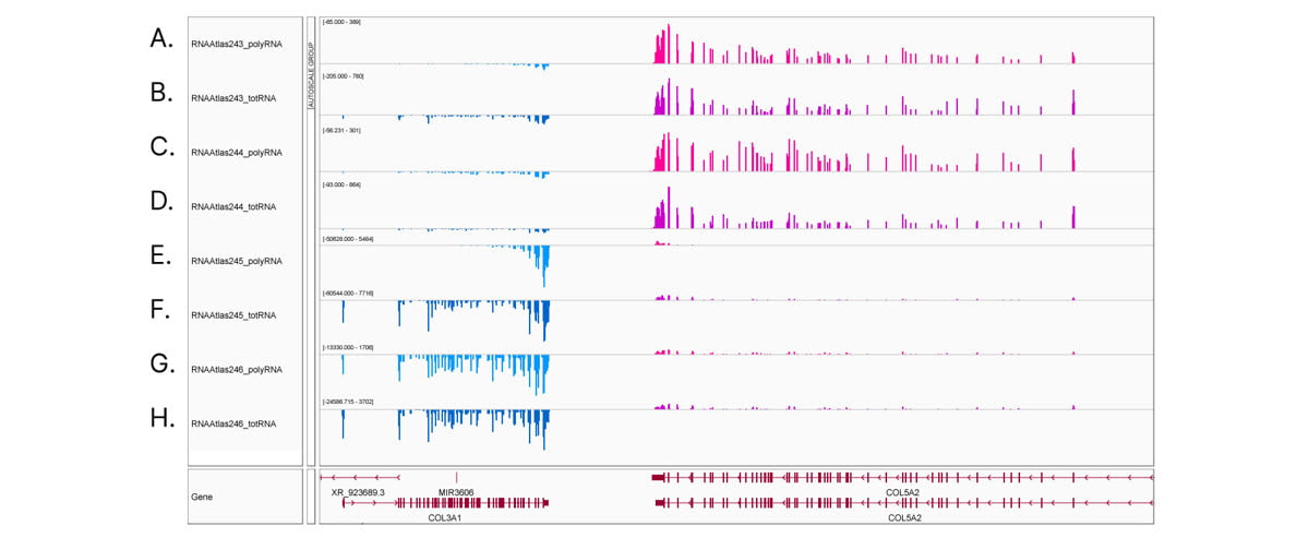 IGV screenshot differential gene expression