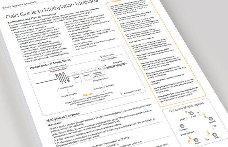 Field Guide to Methylation Methods