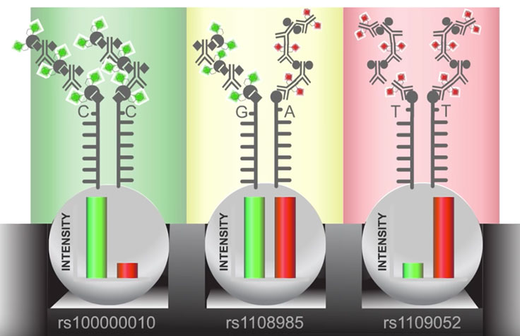 How Microarrays Work