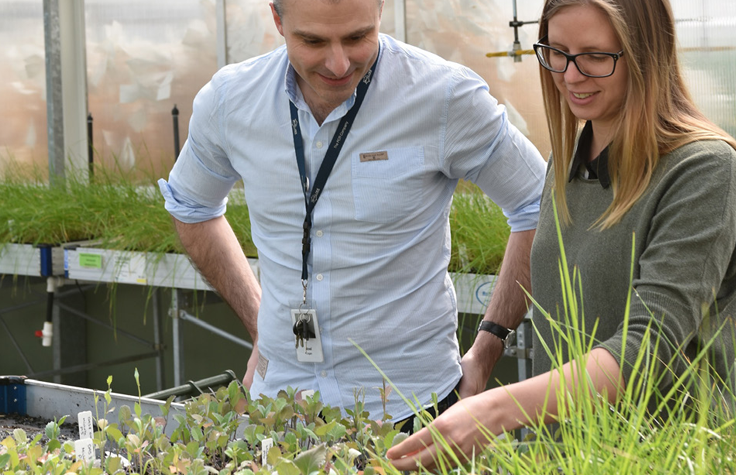 Australian Crop Breeding Research Benefits from Advanced Sequencing with Consistent Methodologies