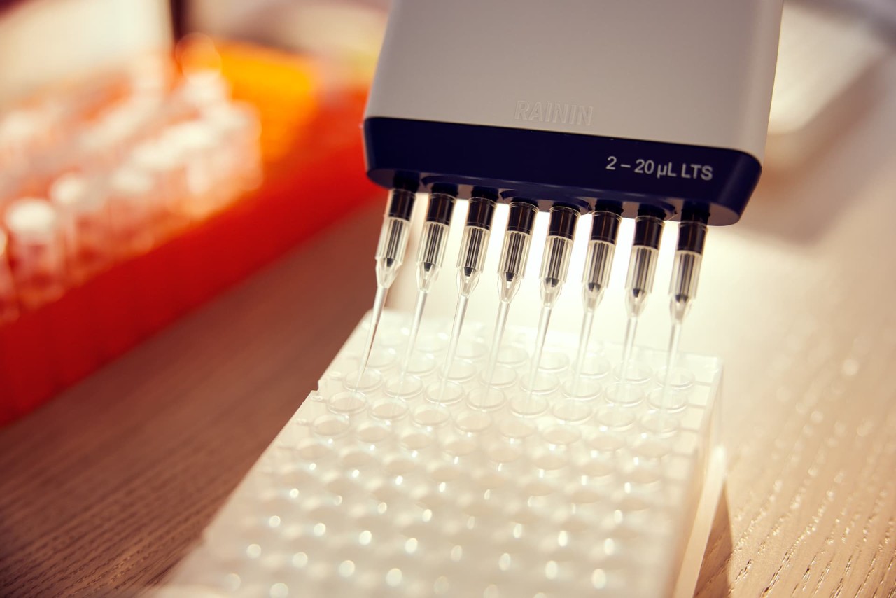Pipetting into 8 lane plate in wet lab, close-up