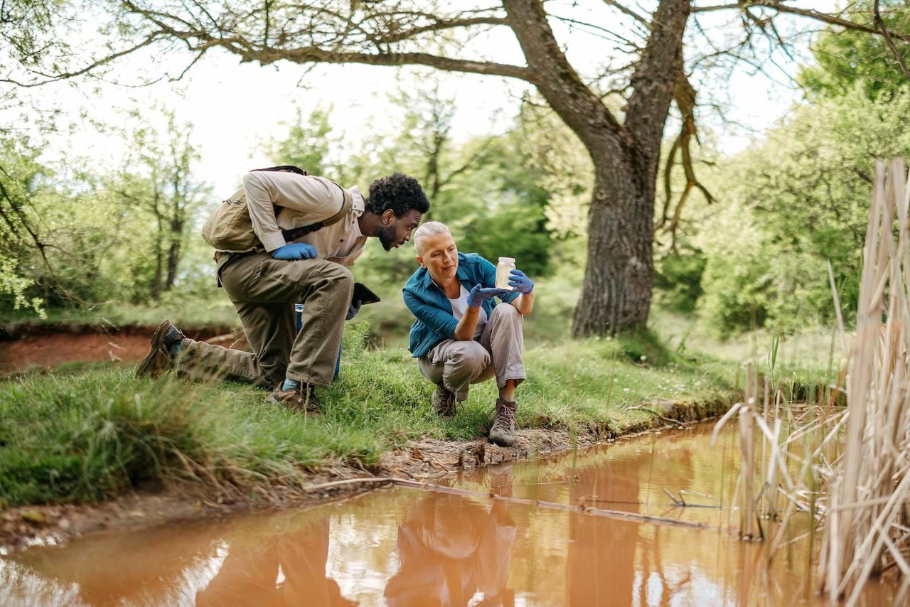 Two researchers, man and woman, kneeling in the middle of a forest near at the bed of a river, holding a jar filled with murky river water, looking closely at the composition and assessing.