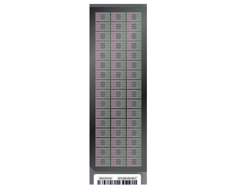 Infinium Methylation Screening array