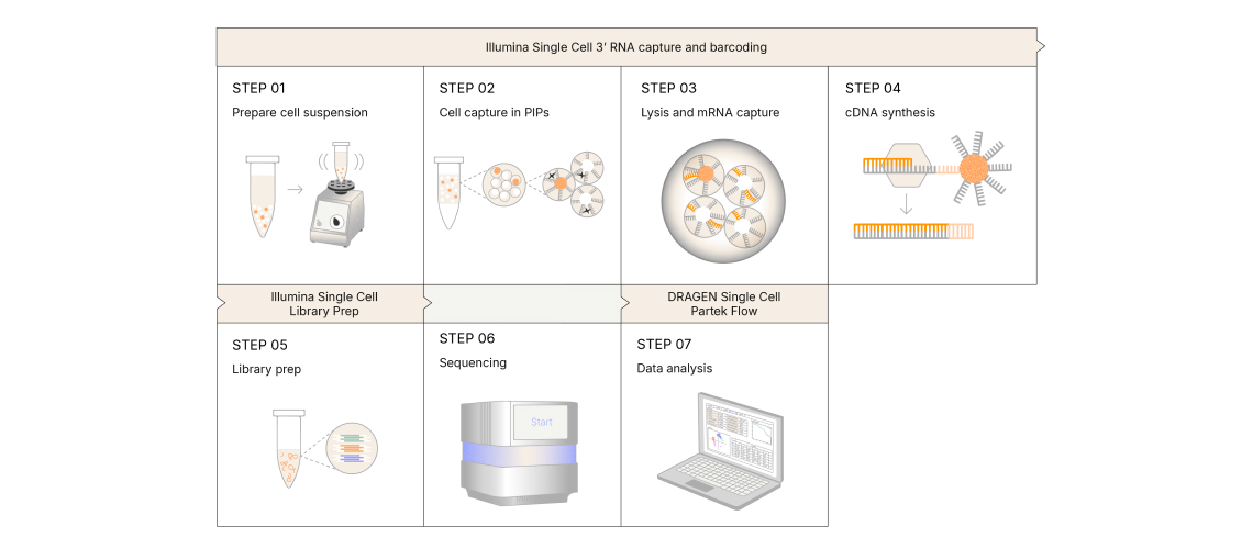 Single-cell mRNA capture and barcoding with PIPseq chemistry