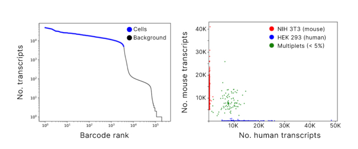 High-resolution scRNA-Seq at a scale of thousands of cells