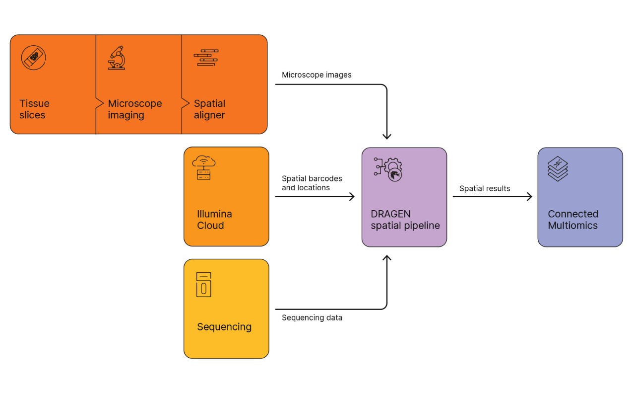 lIlumina spatial transcriptomics software workflow